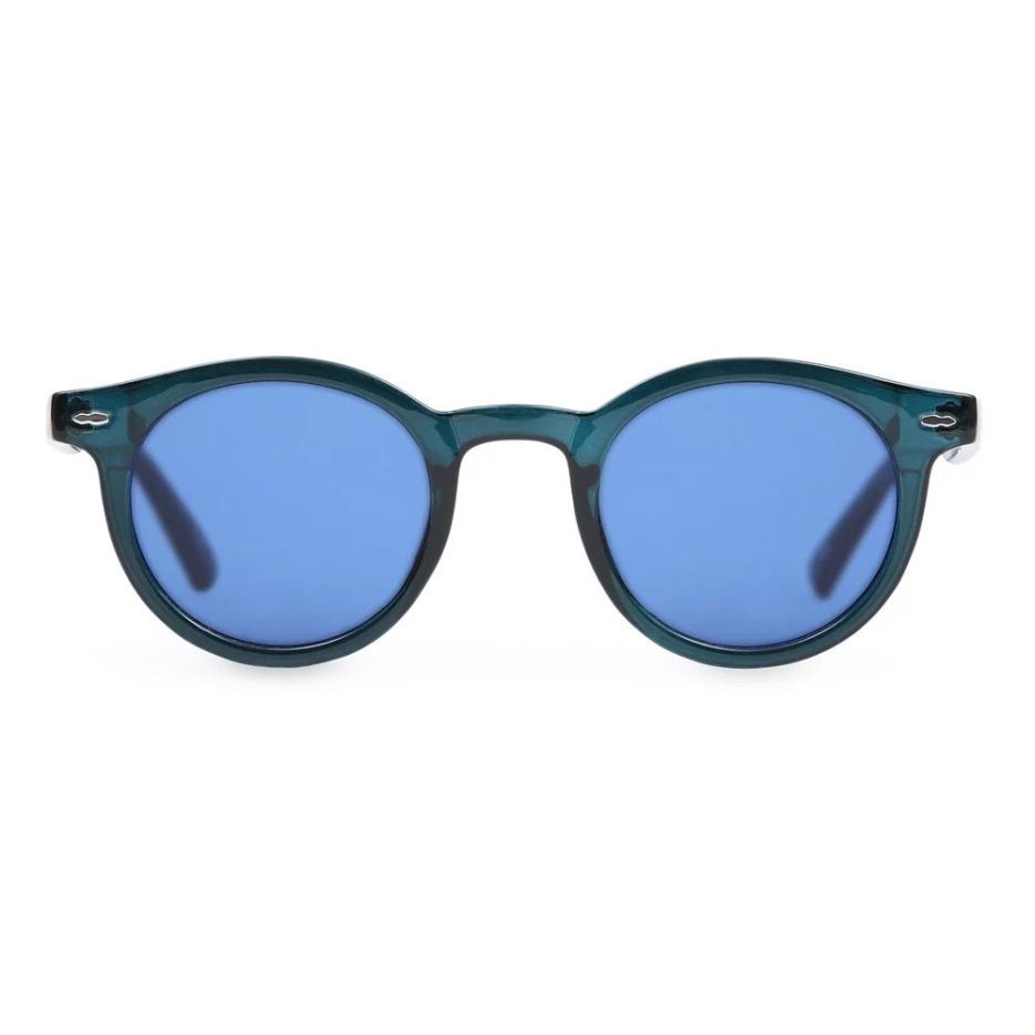 Vans Alpine Ray Lunettes De Soleil Bleu