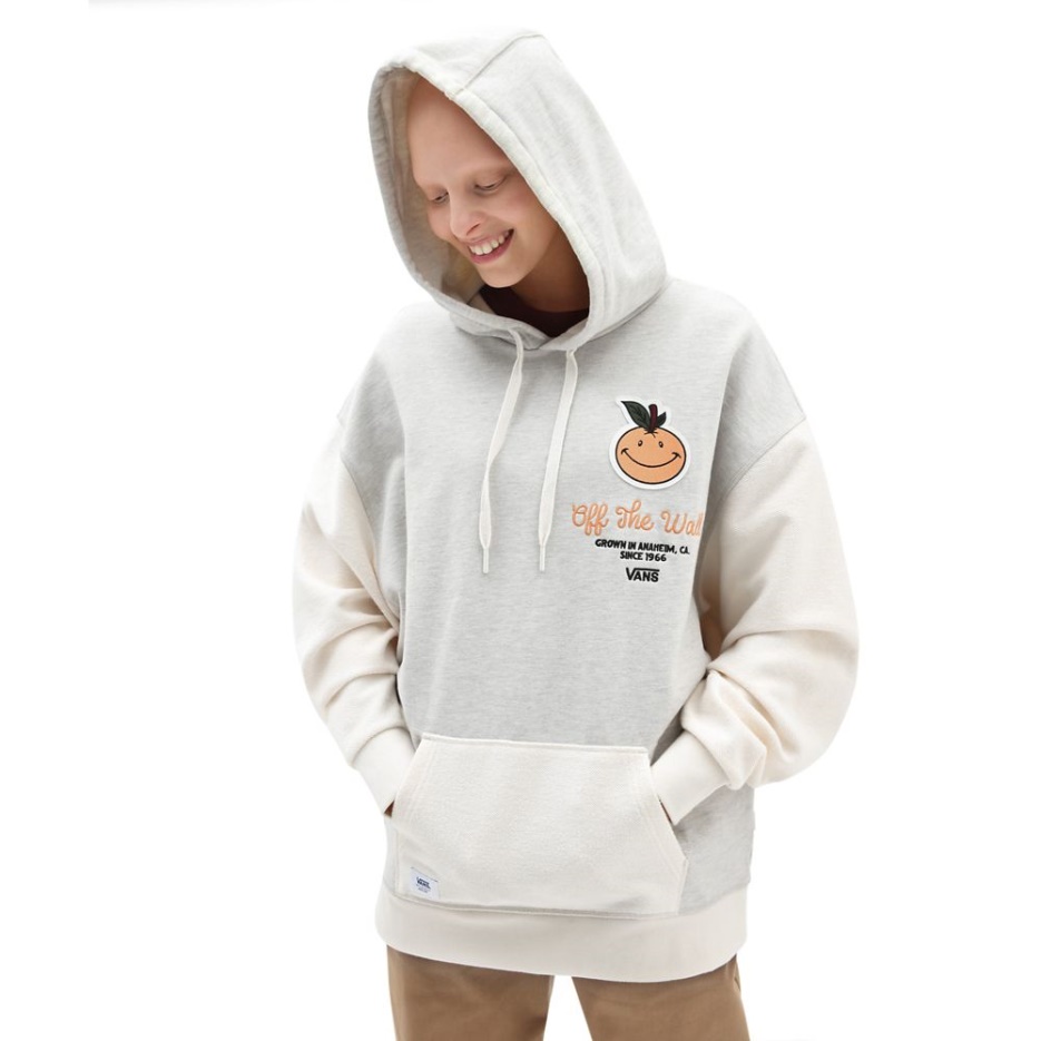 Vans Anaheim Et Sweat à Capuche Gris