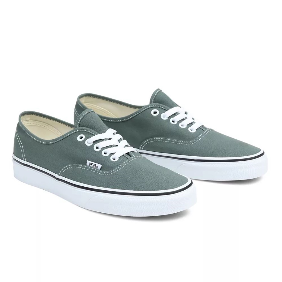 Vans Color Theory Authentique Chaussures Vert