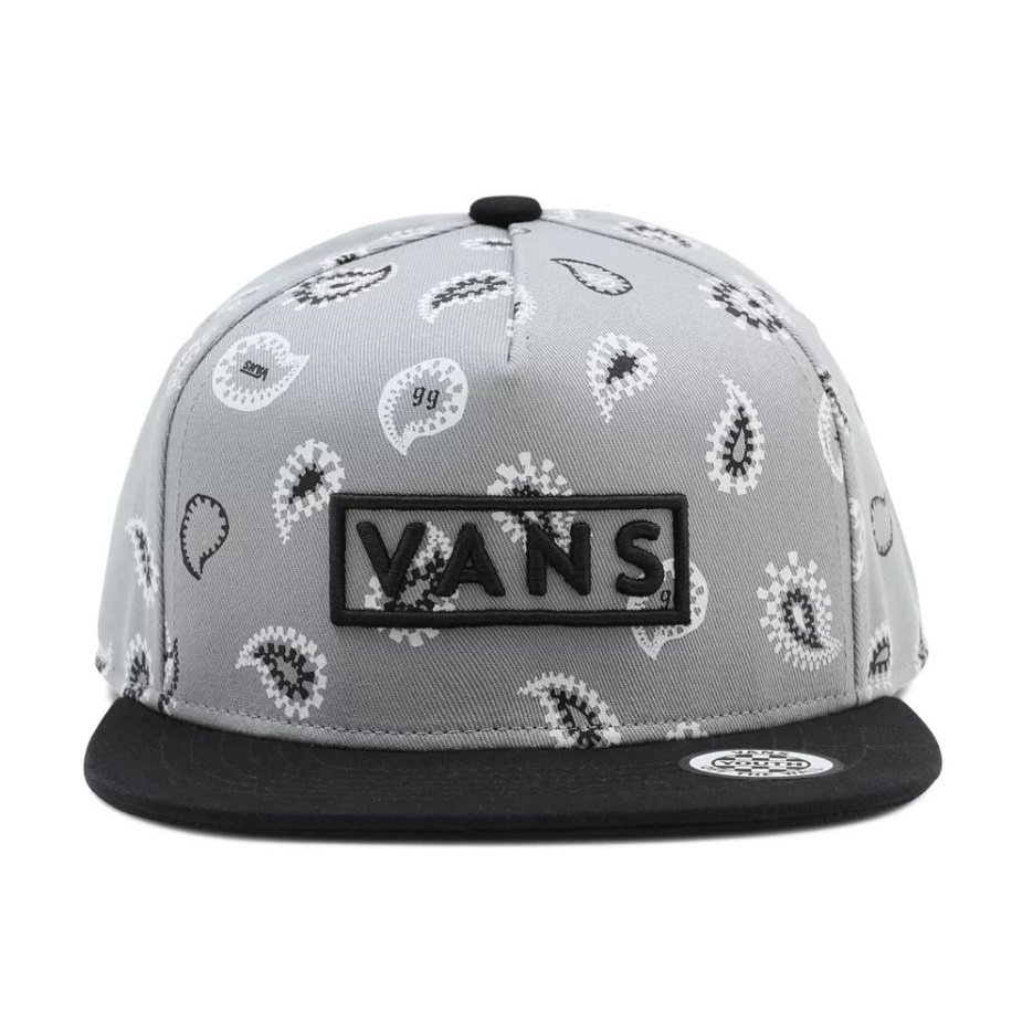 Casquette Snapback Vans Kids Easy Box Gris