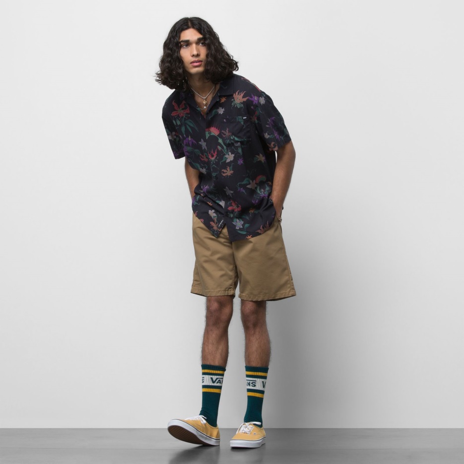 Vans Authentique Chino Décontracté 20" Court Saleté