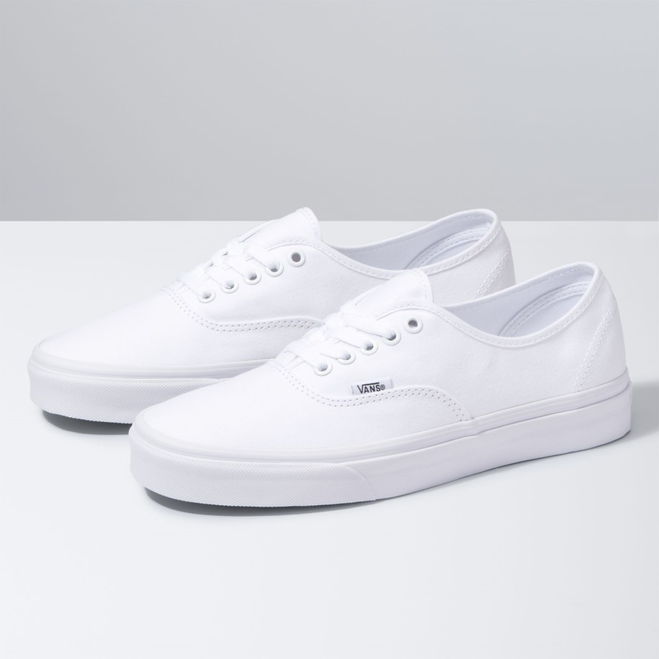 Vans Authentique Vrai Blanc