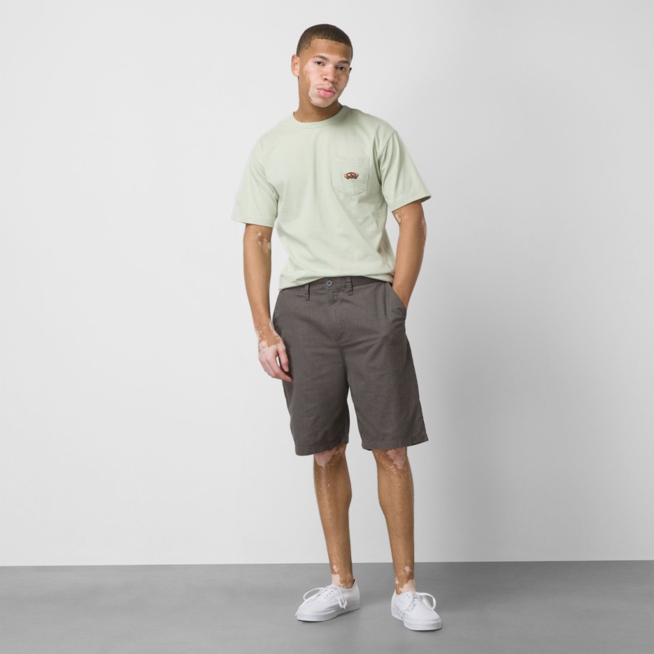 Vans Dewitt 22" Court Gravier Chiné