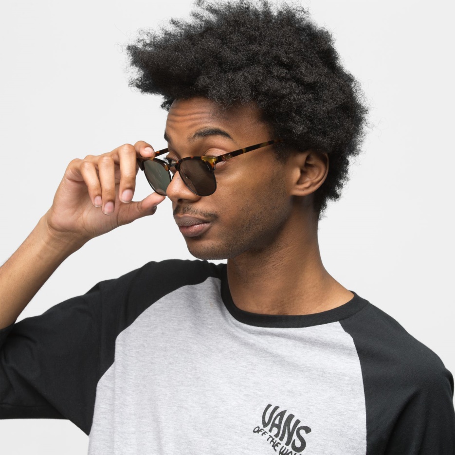 Vans Dunville Lunettes De Soleil Guépard Tortue