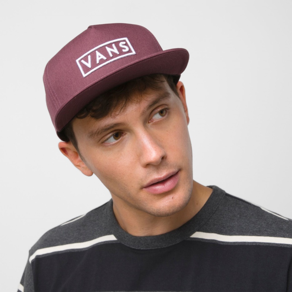 Casquette Snapback Vans Easy Box Catawba Raisin
