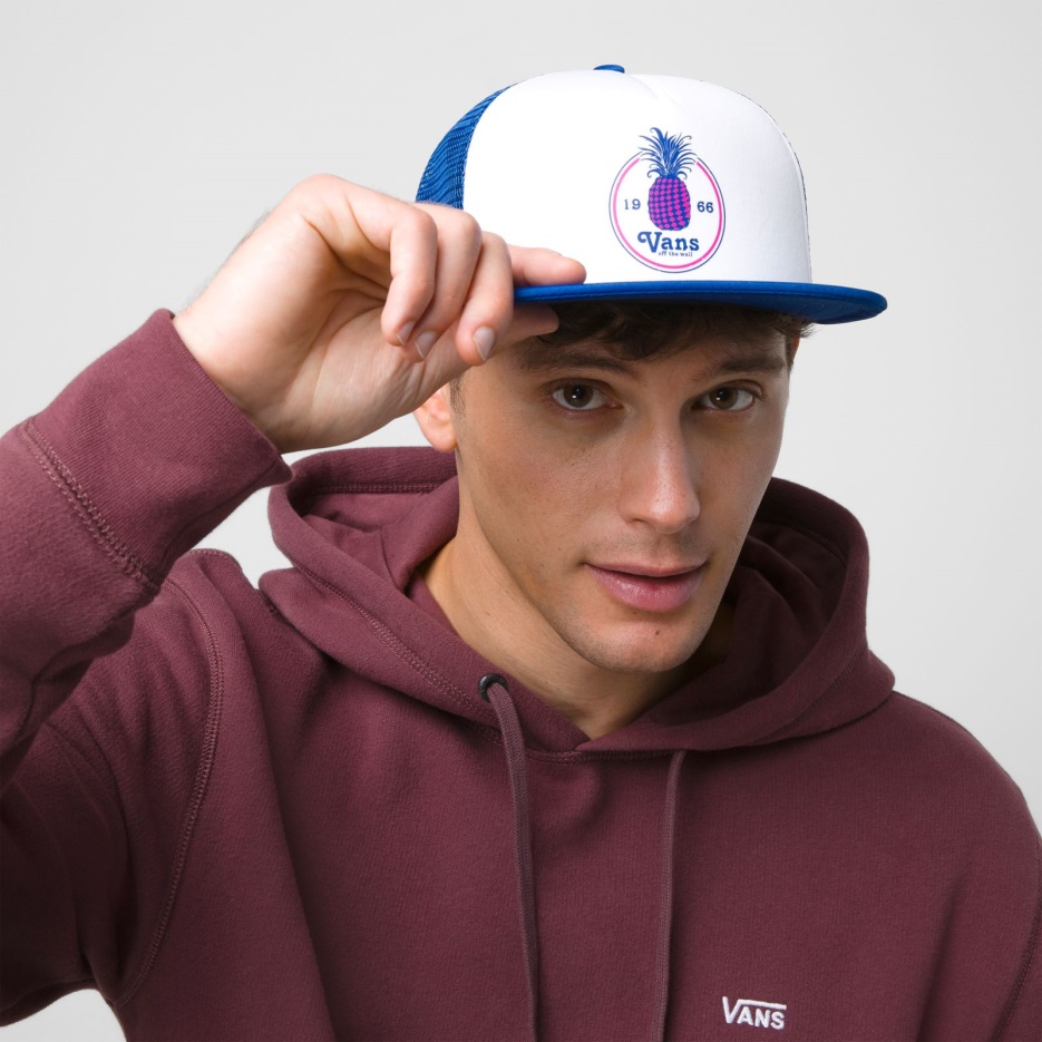 Casquette Camionneur Vans Idell Limoges