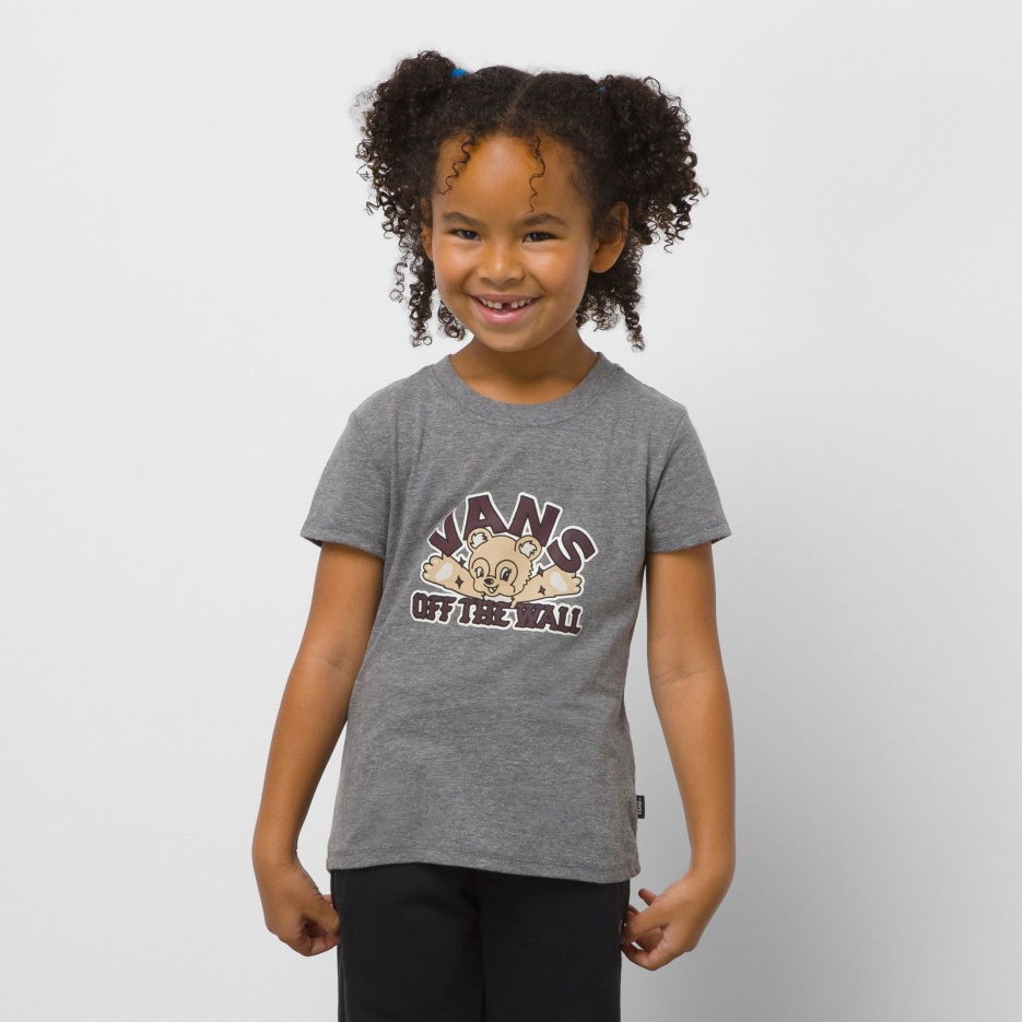 Vans T-shirt Ours Avec Moi Little Kids Gris Chiné