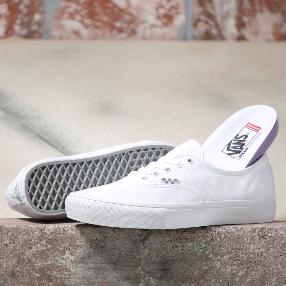Vans Skate Authentique Blanc Vrai