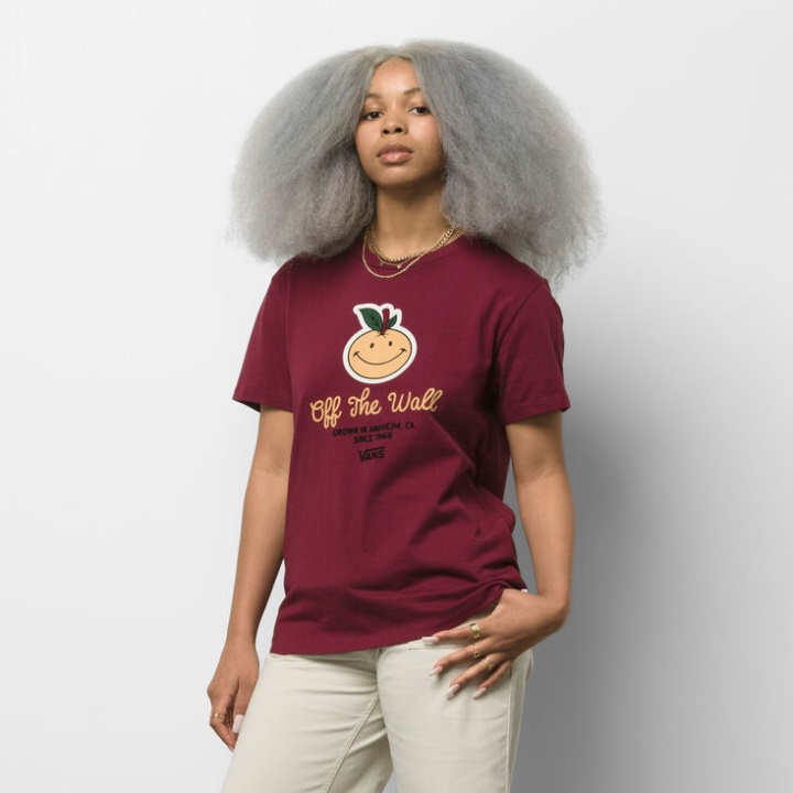 Vans Anaheim Et Bff Tee Port Fauve