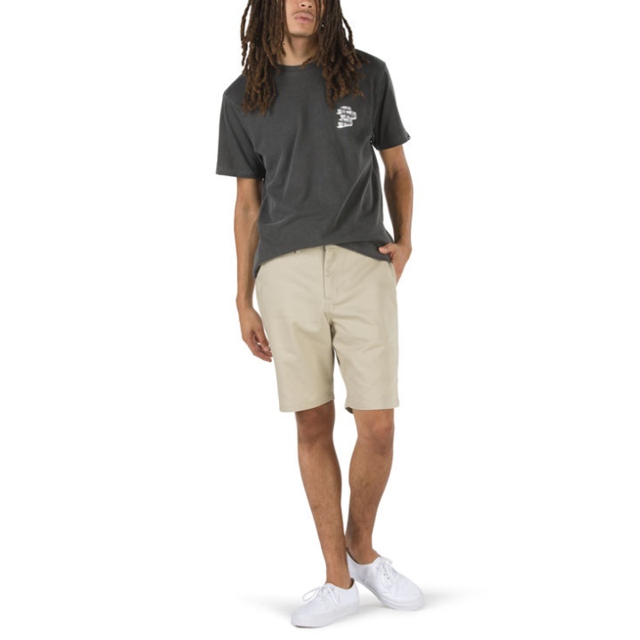 Vans Authentique Stretch Court Eucalyptus