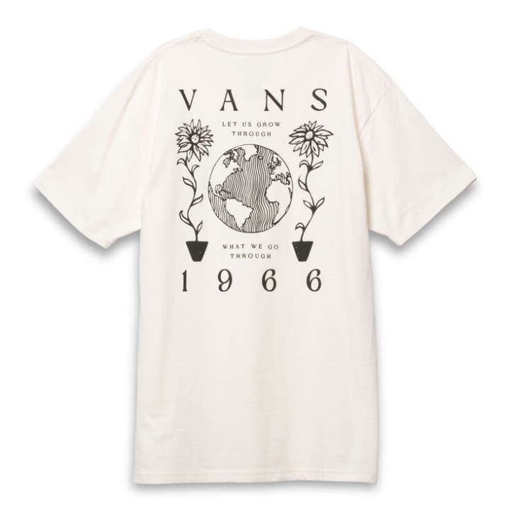 Vans Surf Eco T-shirt Naturel